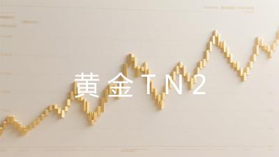 黄金TN2