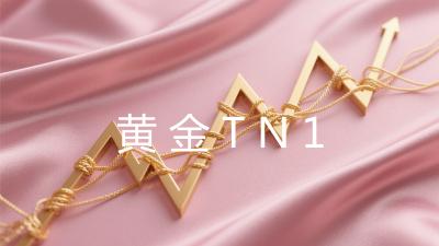 黄金TN1