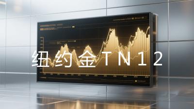 纽约金TN12