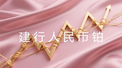 建行人民币铂