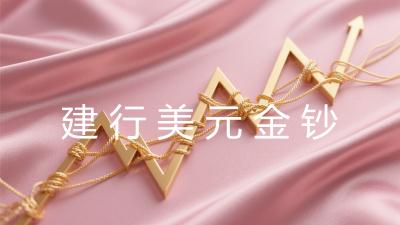 建行美元金钞
