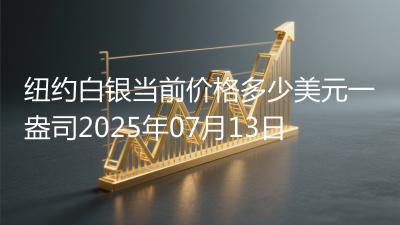 纽约白银当前价格多少美元一盎司2025年07月13日