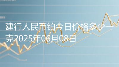 建行人民币铂今日价格多少一克2025年06月08日