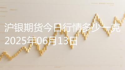 沪银期货今日行情多少一克2025年06月13日
