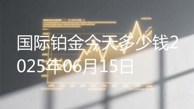 国际铂金今天多少钱2025年06月15日