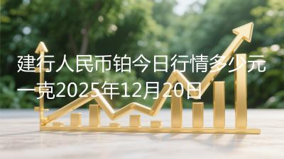 建行人民币铂今日行情多少元一克2025年12月20日