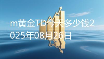 m黄金TD今天多少钱2025年08月26日