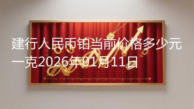 建行人民币铂当前价格多少元一克2026年01月11日
