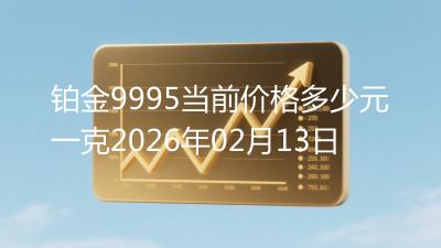 铂金9995当前价格多少元一克2026年02月13日