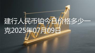 建行人民币铂今日价格多少一克2025年07月09日