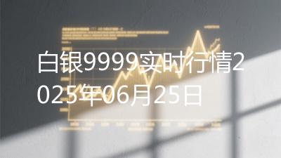白银9999实时行情2025年06月25日