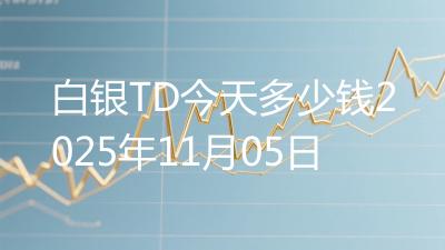 白银TD今天多少钱2025年11月05日