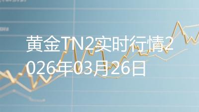 黄金TN2实时行情2026年03月26日