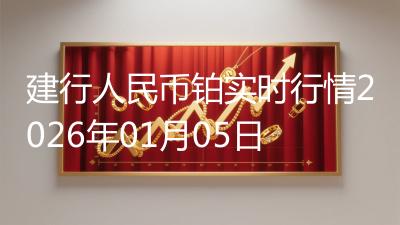 建行人民币铂实时行情2026年01月05日