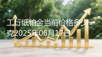 工行纸铂金当前价格多少一克2025年06月17日