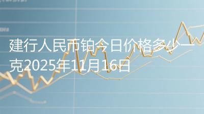 建行人民币铂今日价格多少一克2025年11月16日