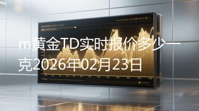 m黄金TD实时报价多少一克2026年02月23日
