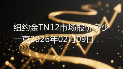 纽约金TN12市场报价多少一克2026年02月09日