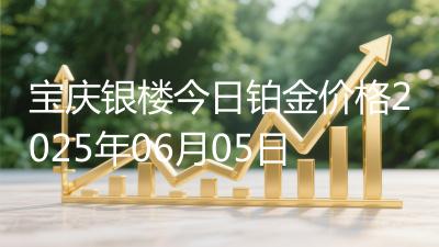 宝庆银楼今日铂金价格2025年06月05日