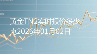 黄金TN2实时报价多少一克2026年01月02日
