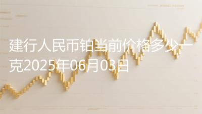 建行人民币铂当前价格多少一克2025年06月03日