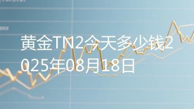 黄金TN2今天多少钱2025年08月18日