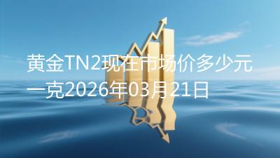黄金TN2现在市场价多少元一克2026年03月21日