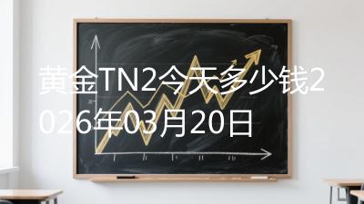黄金TN2今天多少钱2026年03月20日