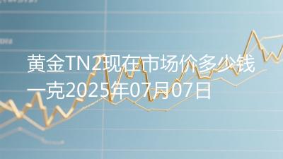 黄金TN2现在市场价多少钱一克2025年07月07日