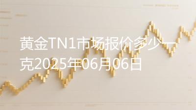 黄金TN1市场报价多少一克2025年06月06日