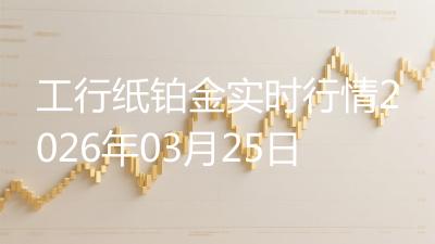 工行纸铂金实时行情2026年03月25日