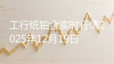 工行纸铂金实时行情2025年12月19日