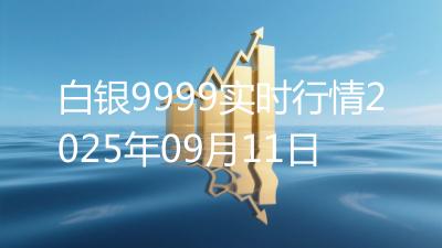 白银9999实时行情2025年09月11日