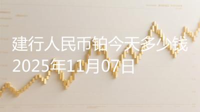 建行人民币铂今天多少钱2025年11月07日