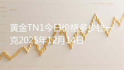 黄金TN1今日价格多少钱一克2025年12月14日