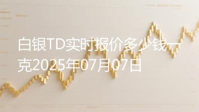 白银TD实时报价多少钱一克2025年07月07日