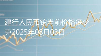 建行人民币铂当前价格多少一克2025年08月03日