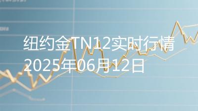 纽约金TN12实时行情2025年06月12日
