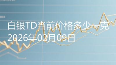 白银TD当前价格多少一克2026年02月09日