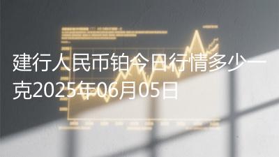 建行人民币铂今日行情多少一克2025年06月05日