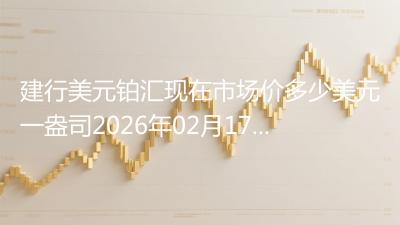 建行美元铂汇现在市场价多少美元一盎司2026年02月17日