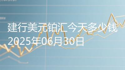 建行美元铂汇今天多少钱2025年06月30日