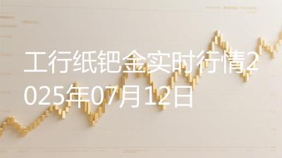 工行纸钯金实时行情2025年07月12日