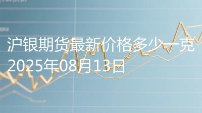 沪银期货最新价格多少一克2025年08月13日