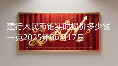 建行人民币铂实时报价多少钱一克2025年06月17日