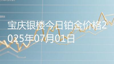 宝庆银楼今日铂金价格2025年07月01日