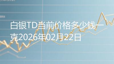白银TD当前价格多少钱一克2026年02月22日