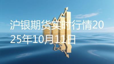 沪银期货实时行情2025年10月11日
