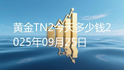 黄金TN2今天多少钱2025年09月25日