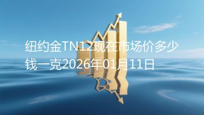 纽约金TN12现在市场价多少钱一克2026年01月11日